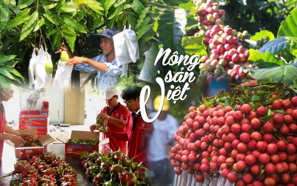 thiết kế website Hồ Chí Minh