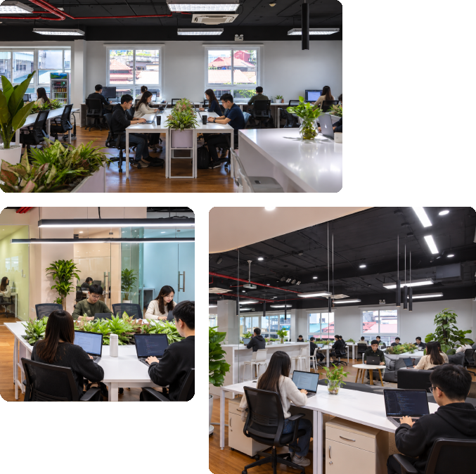 Đội ngũ thiết kế website HCSoft